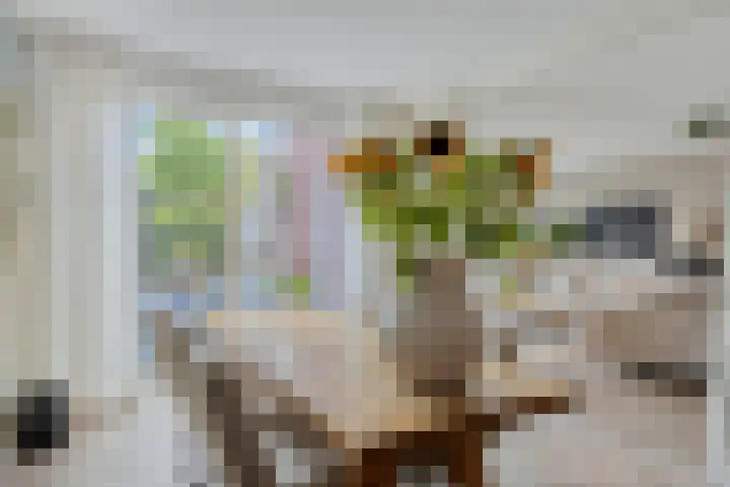 Zilverschoon 27 Bodegraven thumbnail 8