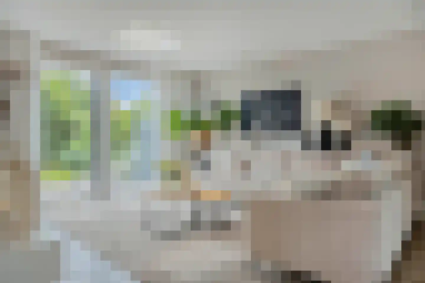 Zilverschoon 27 Bodegraven thumbnail 9
