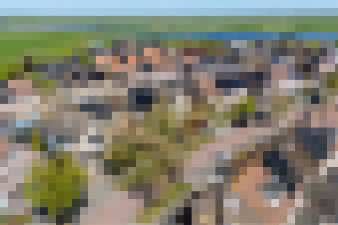 Zilverschoon 27 Genemuiden thumbnail 10