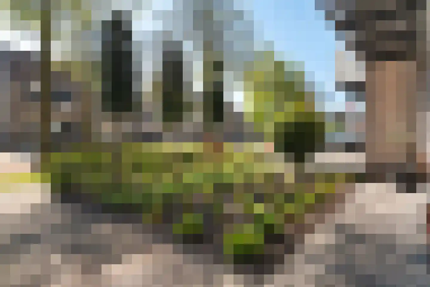 Zilverschoon 27 Genemuiden thumbnail 12