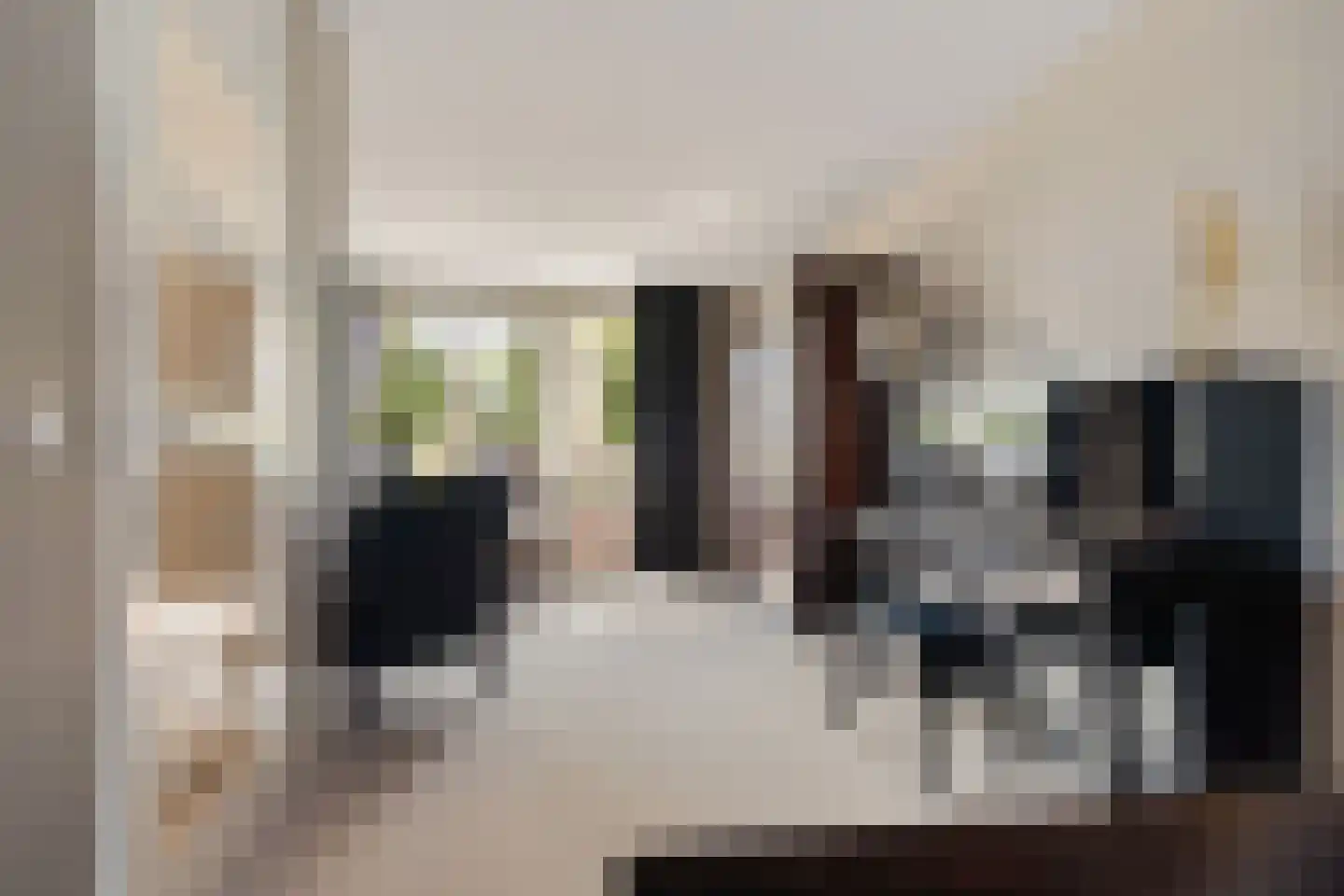 Zilverschoon 27 Genemuiden thumbnail 16