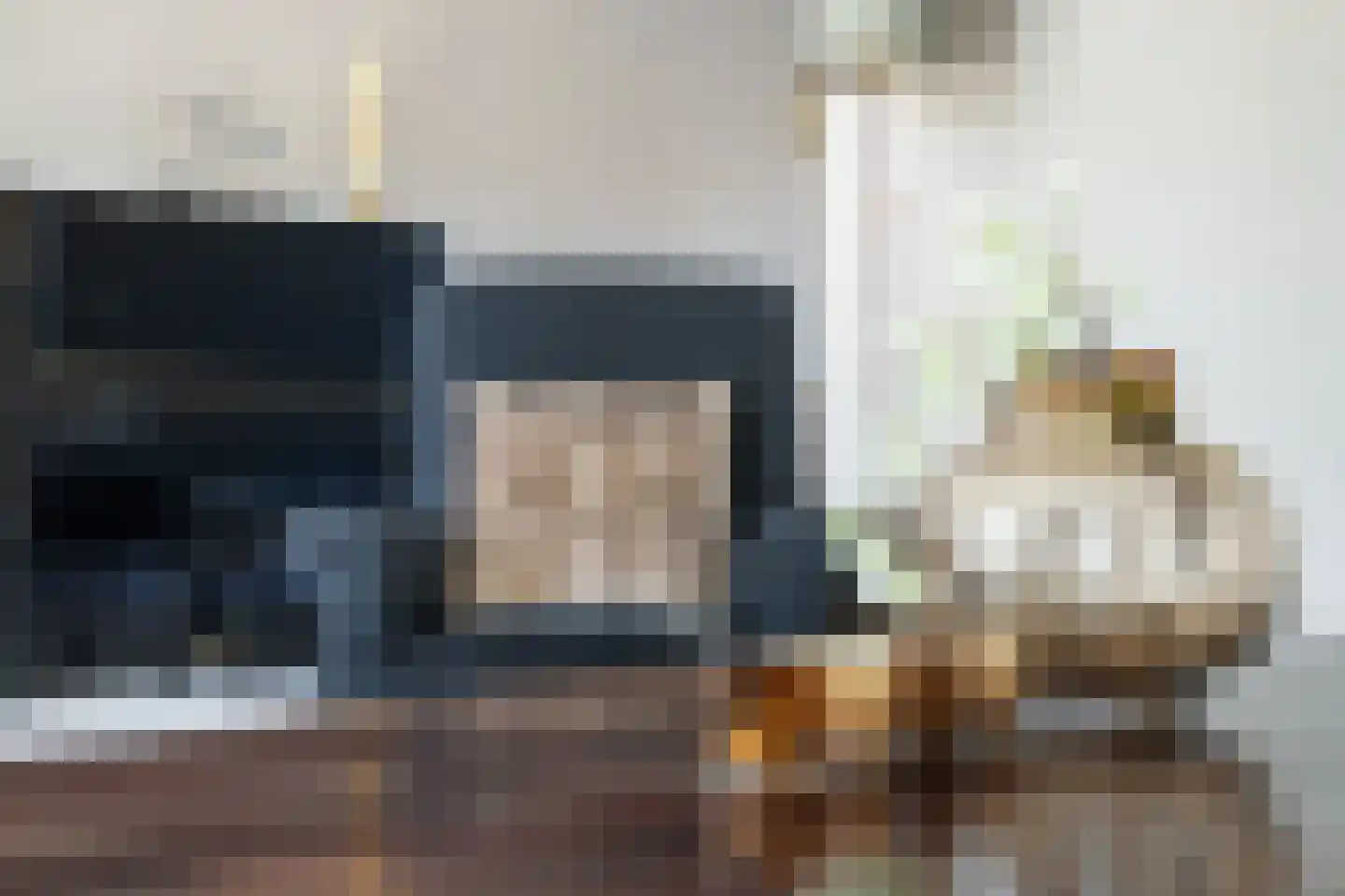 Zilverschoon 27 Genemuiden thumbnail 18