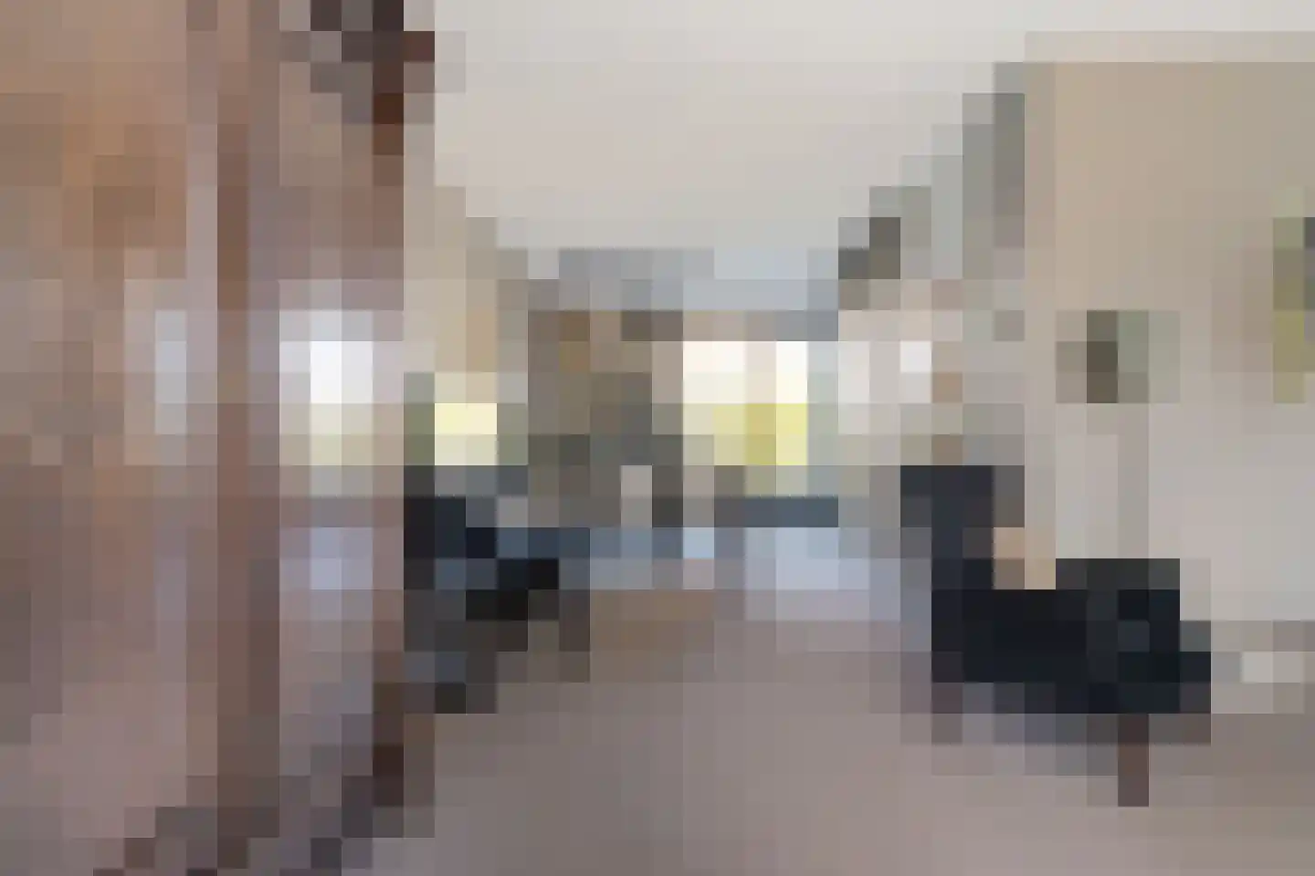 Zilverschoon 27 Genemuiden thumbnail 20