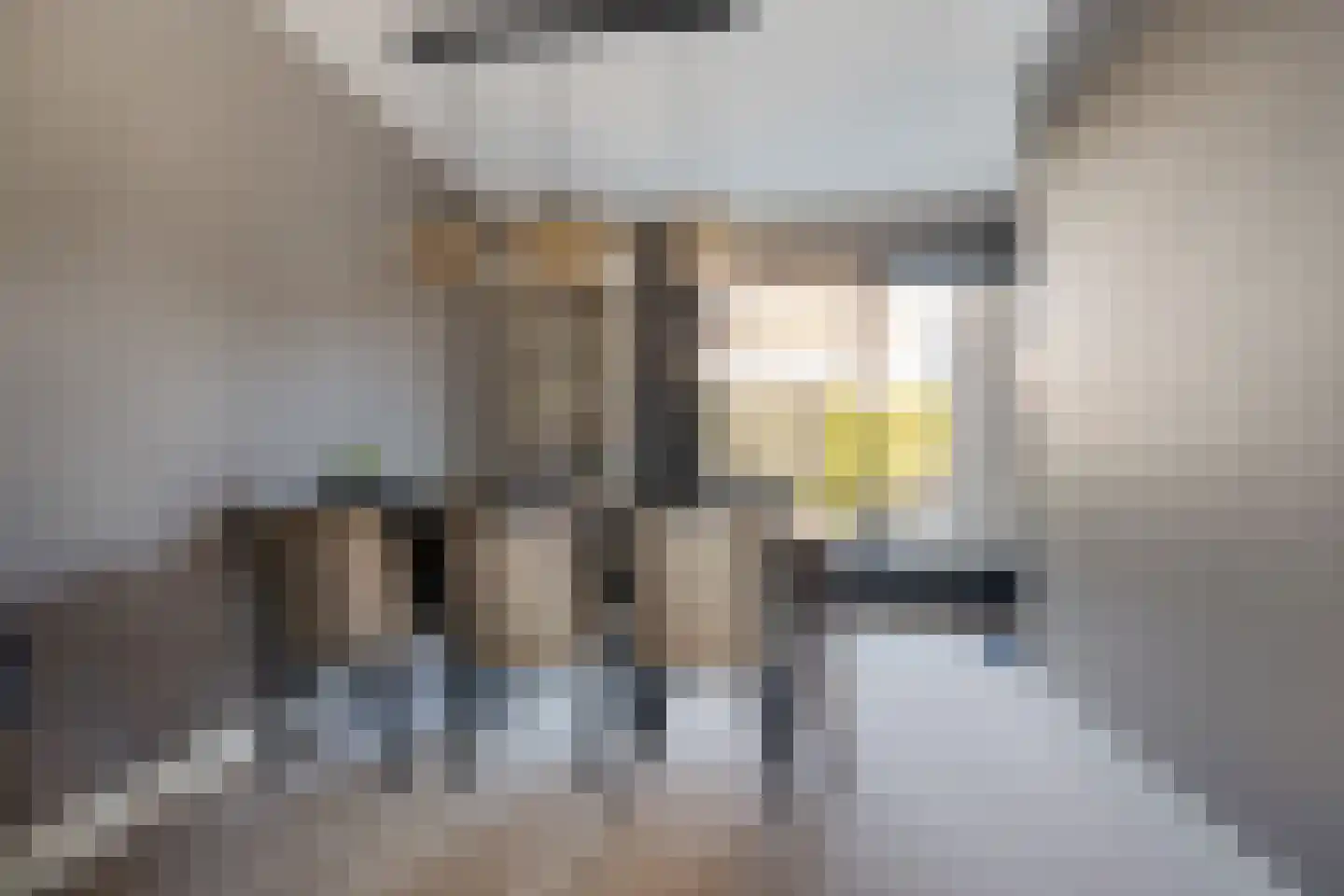 Zilverschoon 27 Genemuiden thumbnail 21