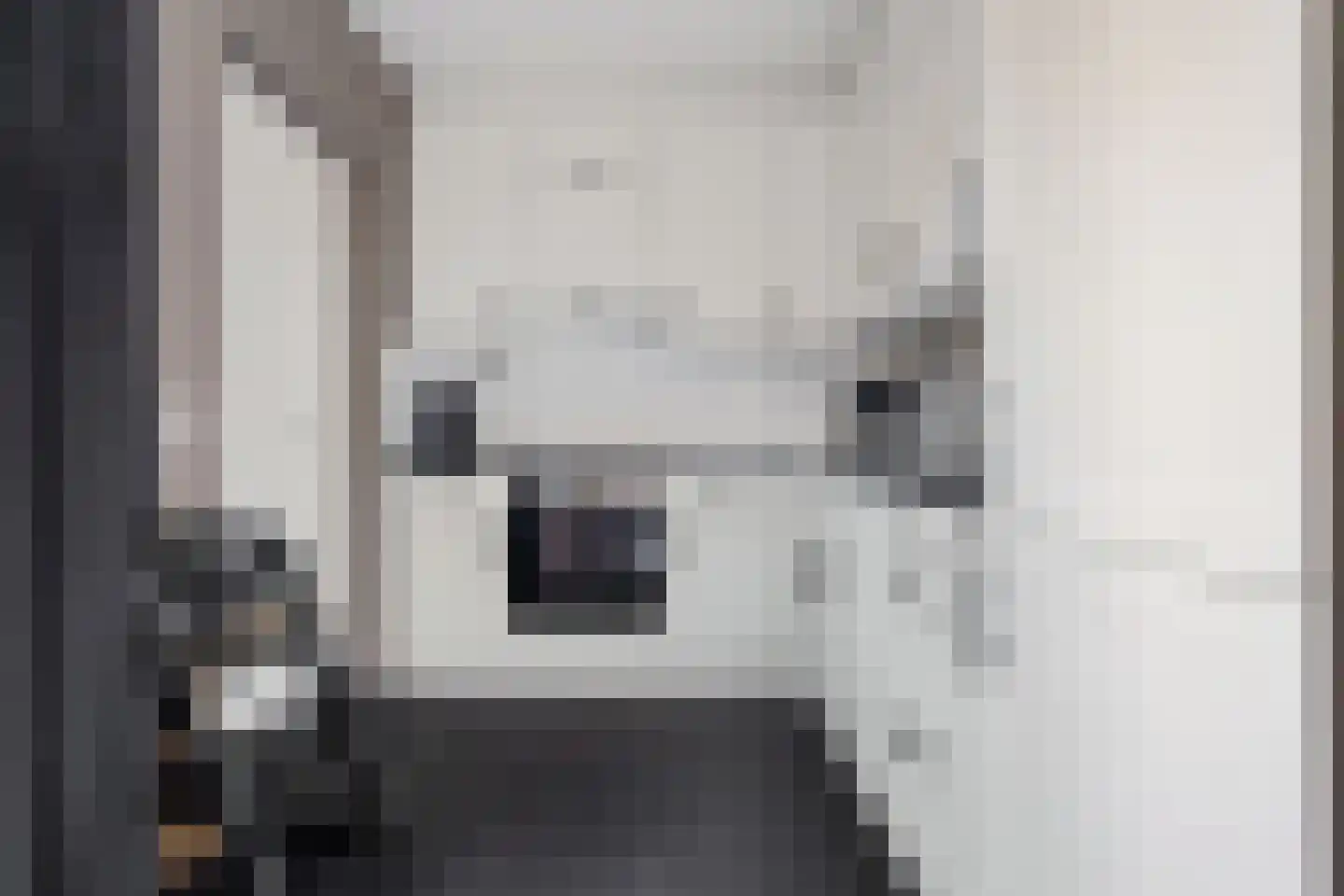 Zilverschoon 27 Genemuiden thumbnail 23