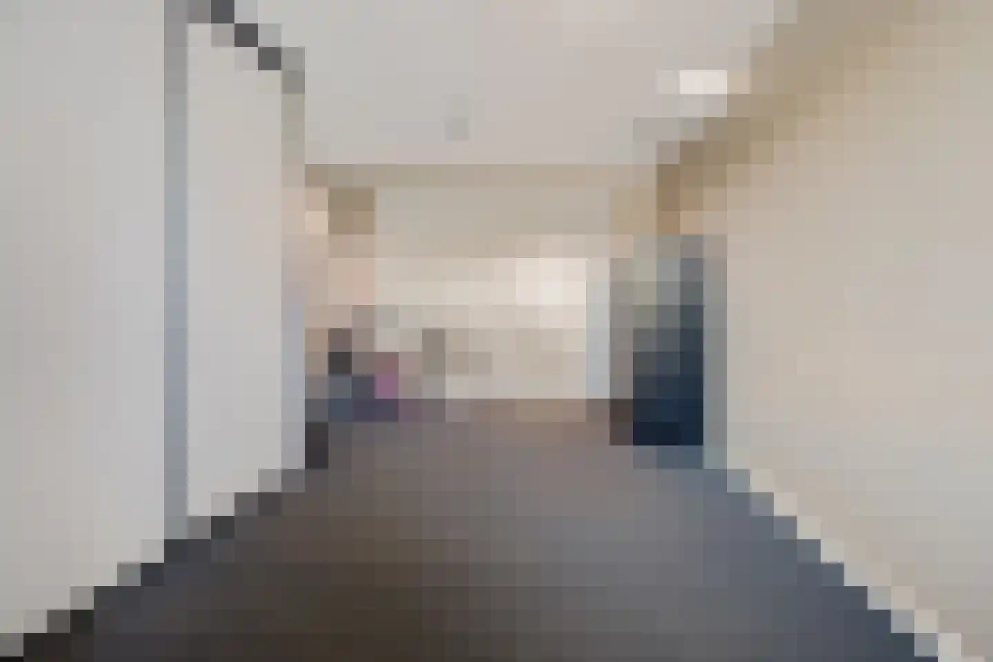 Zilverschoon 27 Genemuiden thumbnail 26