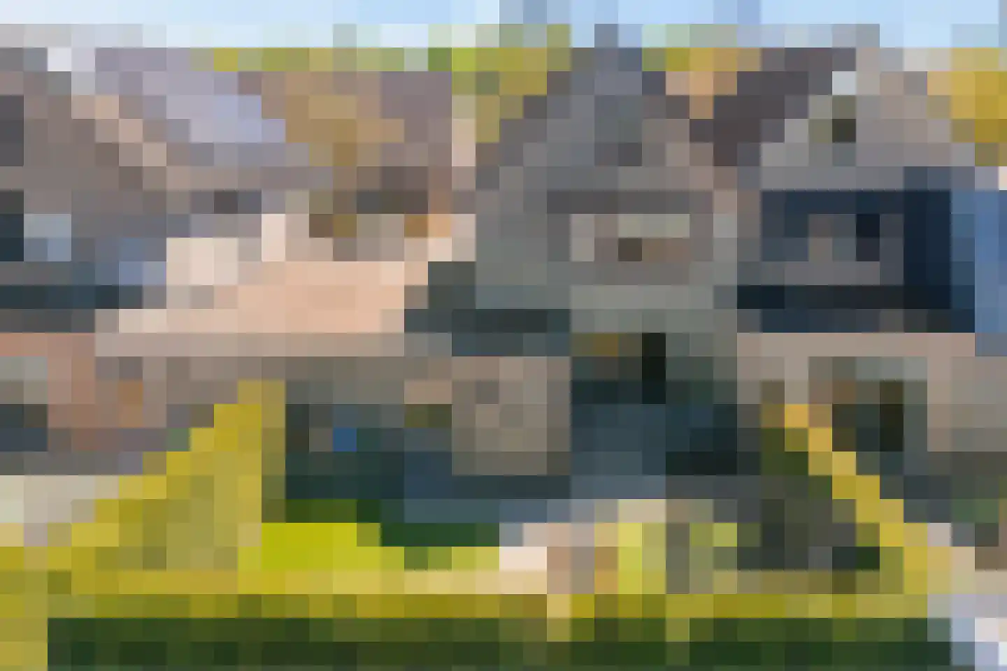 Zilverschoon 27 Genemuiden thumbnail 30