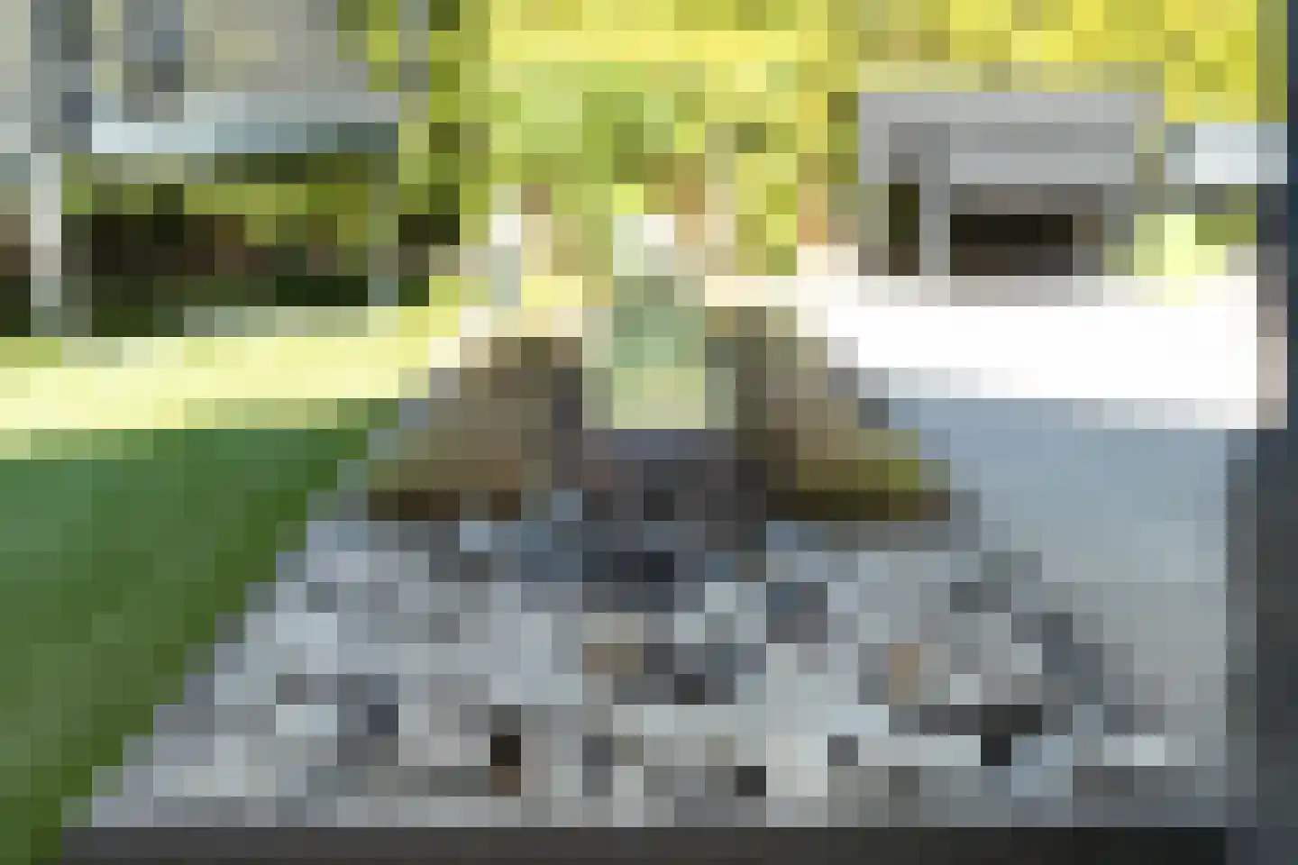 Zilverschoon 27 Genemuiden thumbnail 31