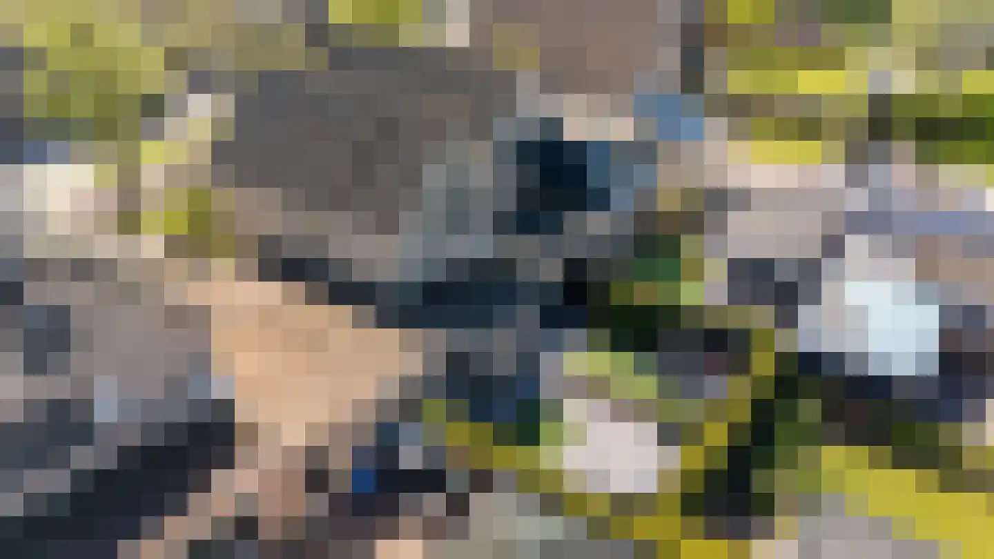 Zilverschoon 27 Genemuiden thumbnail 34