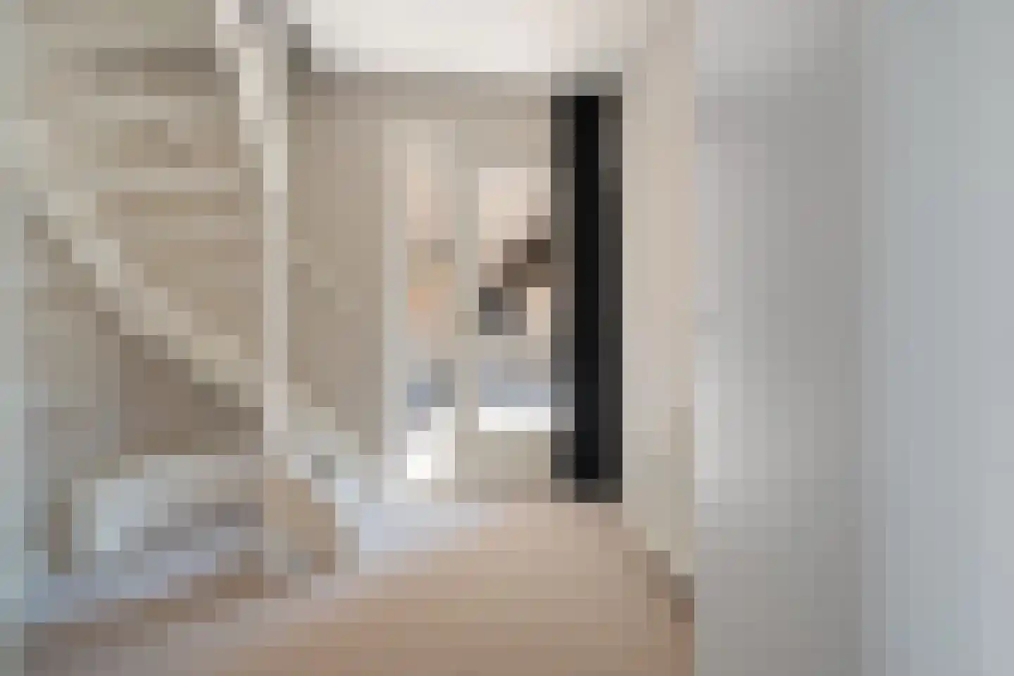 Zilverschoon 27 Genemuiden thumbnail 35