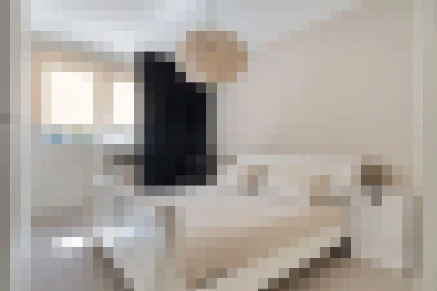 Zilverschoon 27 Genemuiden thumbnail 36