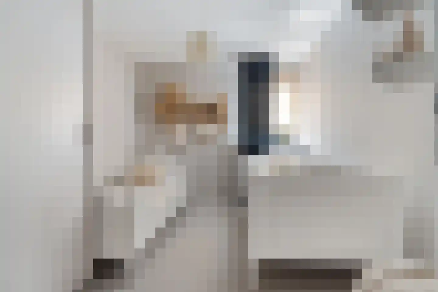 Zilverschoon 27 Genemuiden thumbnail 37