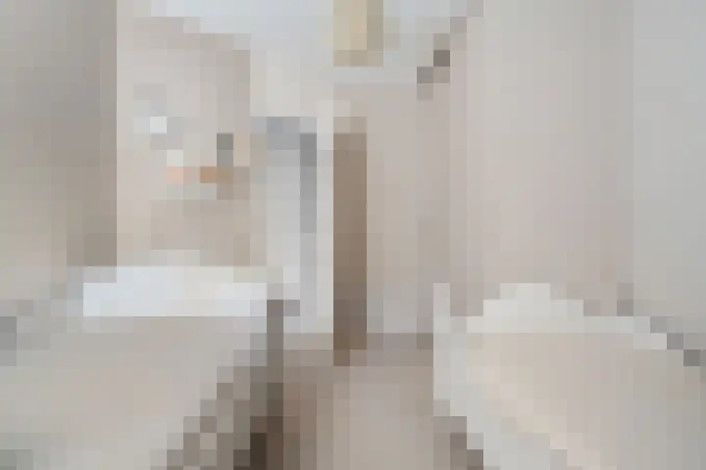 Zilverschoon 27 Genemuiden thumbnail 38