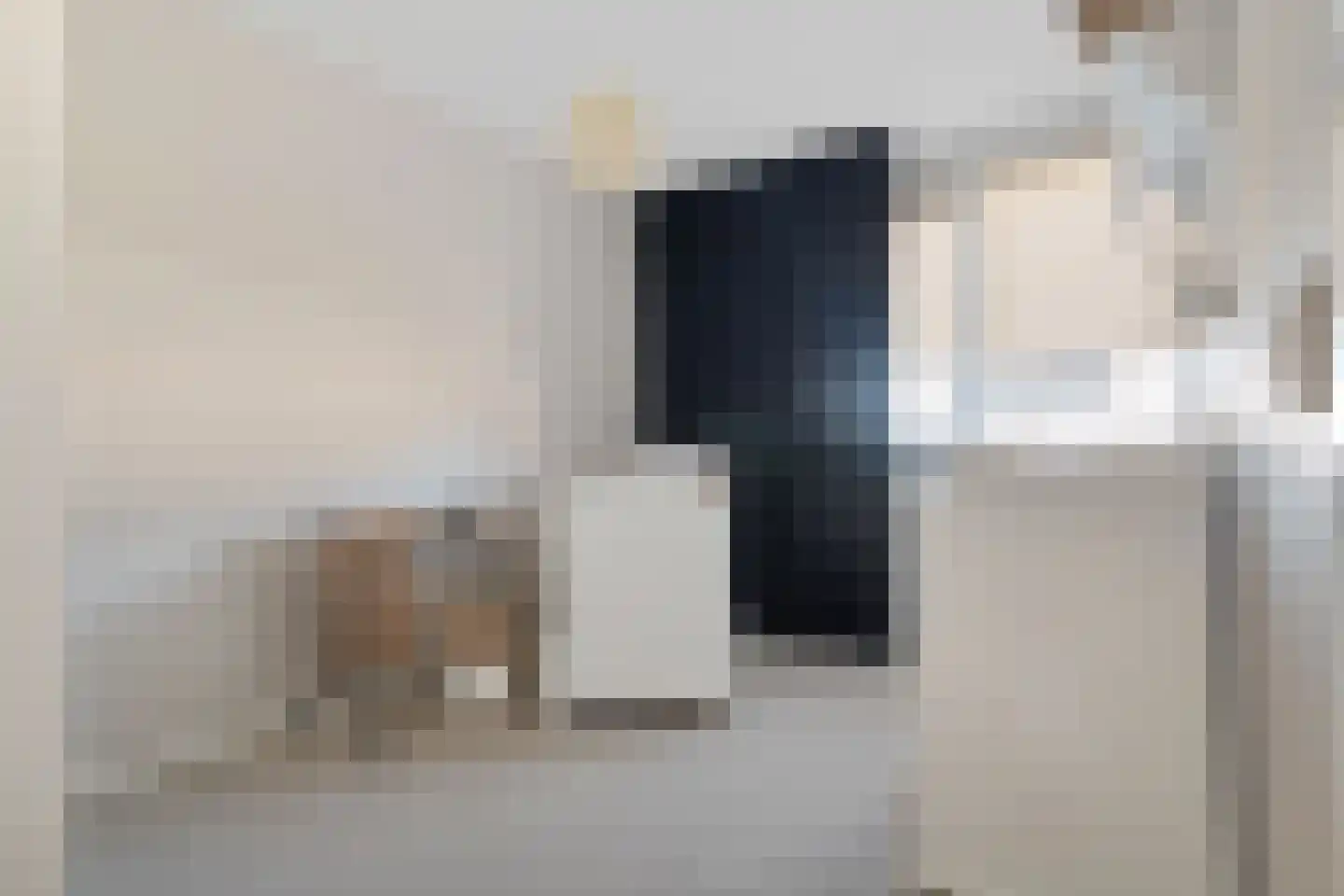 Zilverschoon 27 Genemuiden thumbnail 39