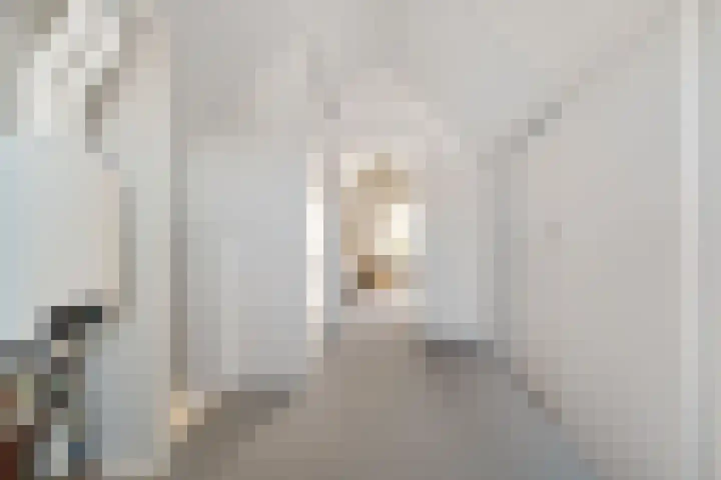 Zilverschoon 27 Genemuiden thumbnail 47