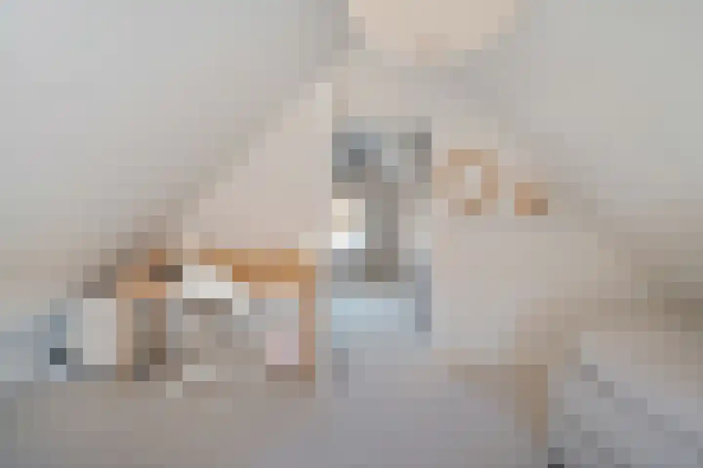 Zilverschoon 27 Genemuiden thumbnail 49