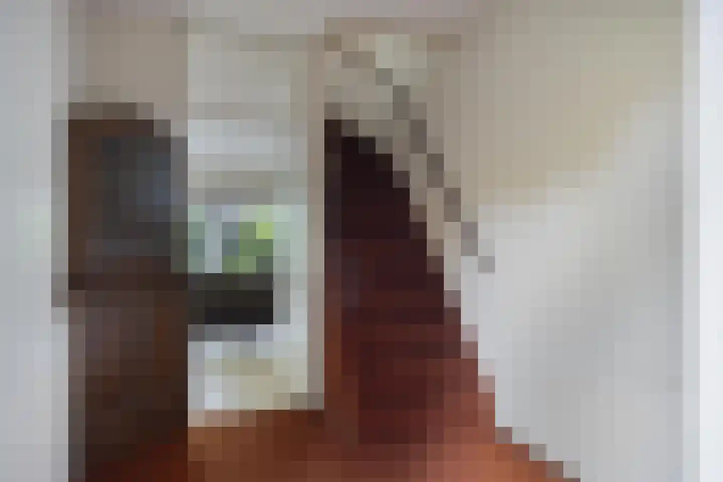 Zilverschoon 27 Kampen thumbnail 14