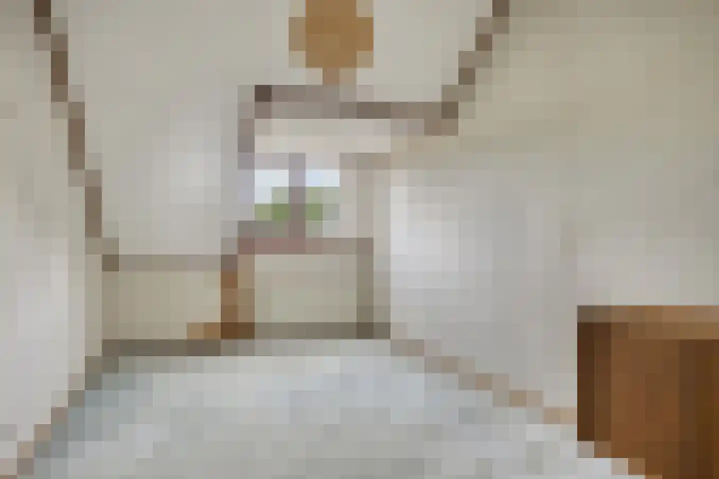 Zilverschoon 27 Kampen thumbnail 25