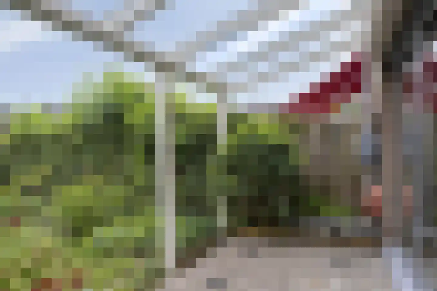 Zilverschoon 27 Kampen thumbnail 28