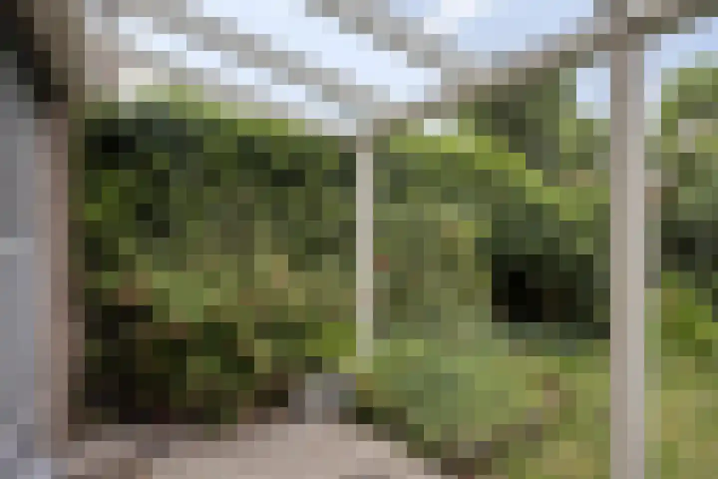 Zilverschoon 27 Kampen thumbnail 29