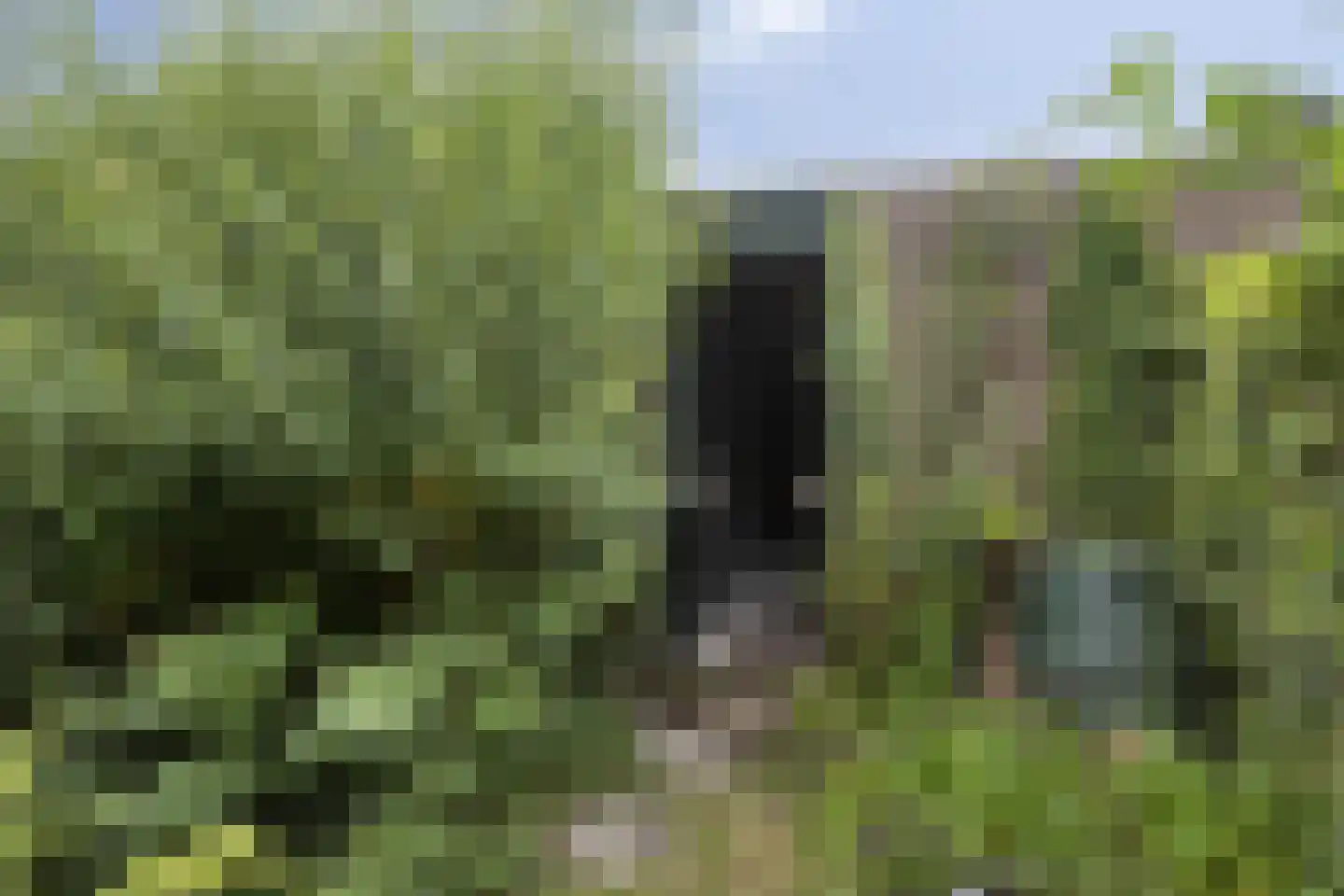 Zilverschoon 27 Kampen thumbnail 31