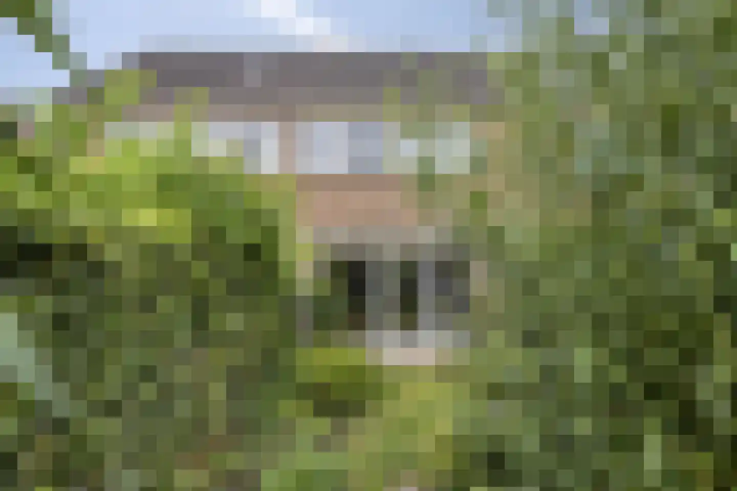 Zilverschoon 27 Kampen thumbnail 34