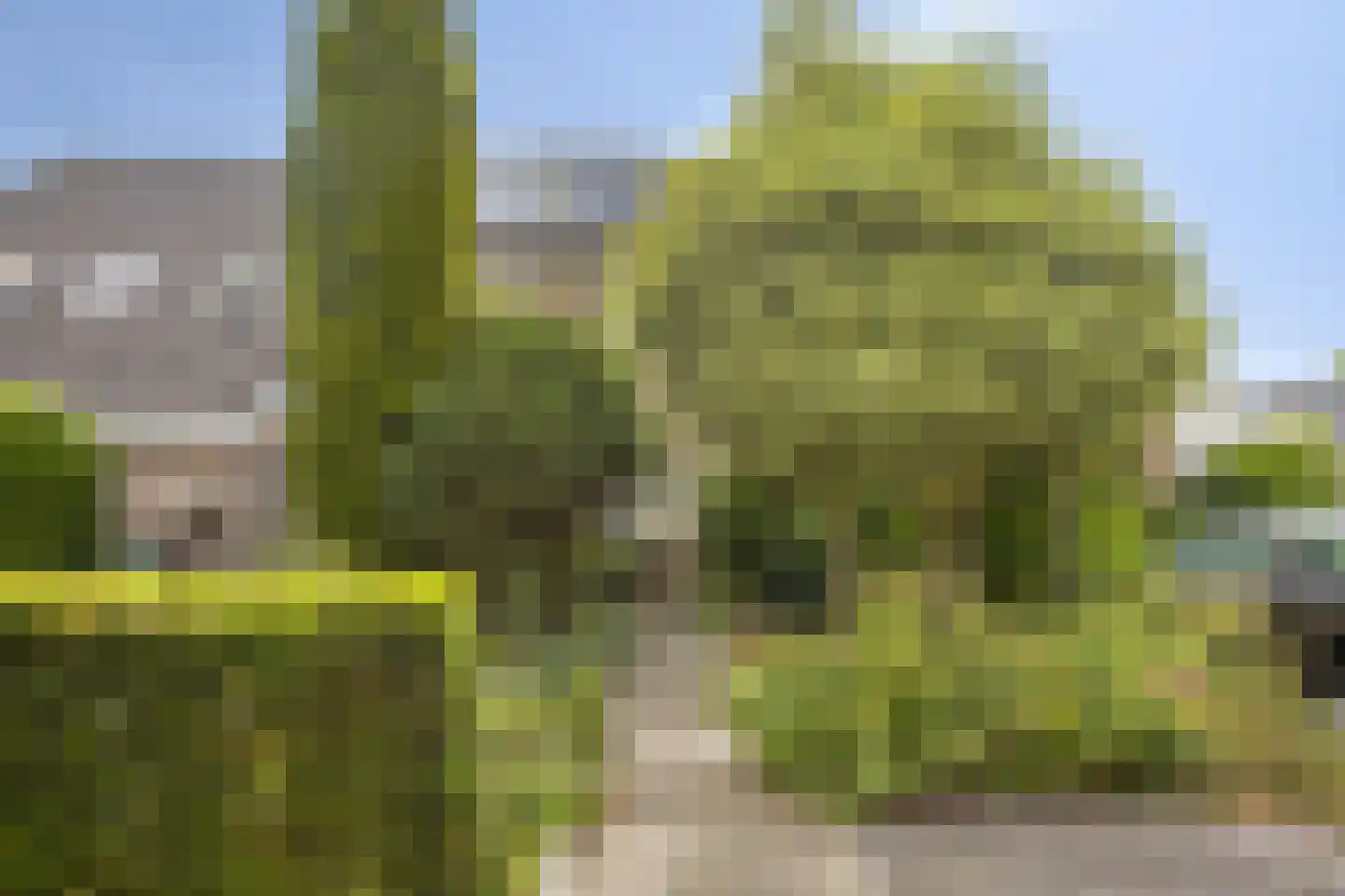 Zilverschoon 27 Kampen thumbnail 37