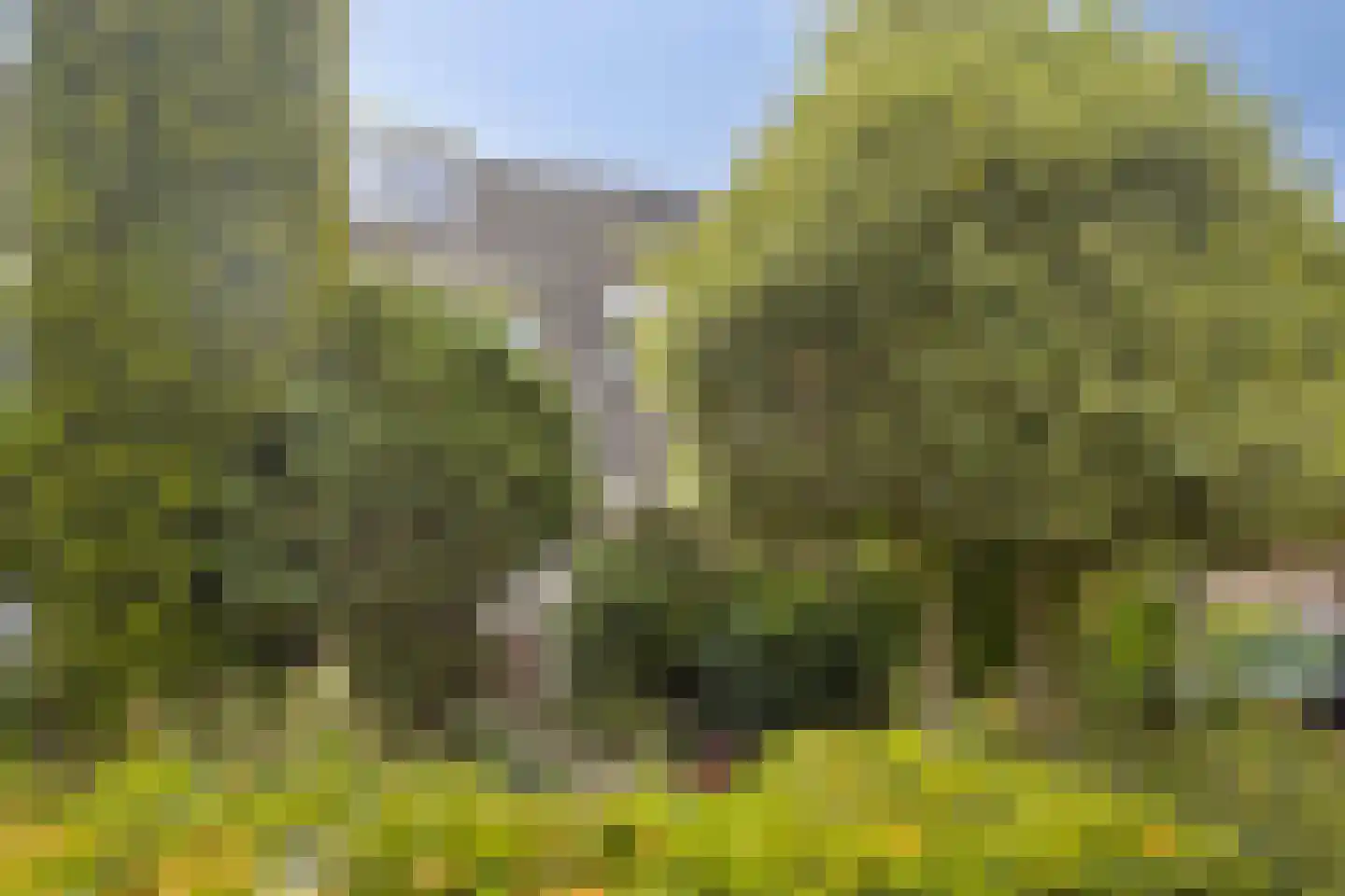 Zilverschoon 27 Kampen thumbnail 38