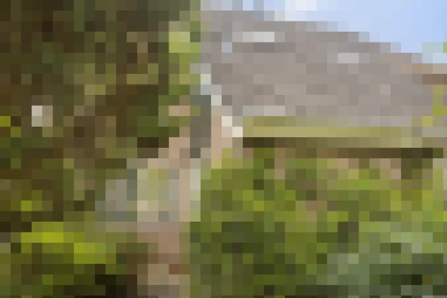 Zilverschoon 27 Kampen thumbnail 39