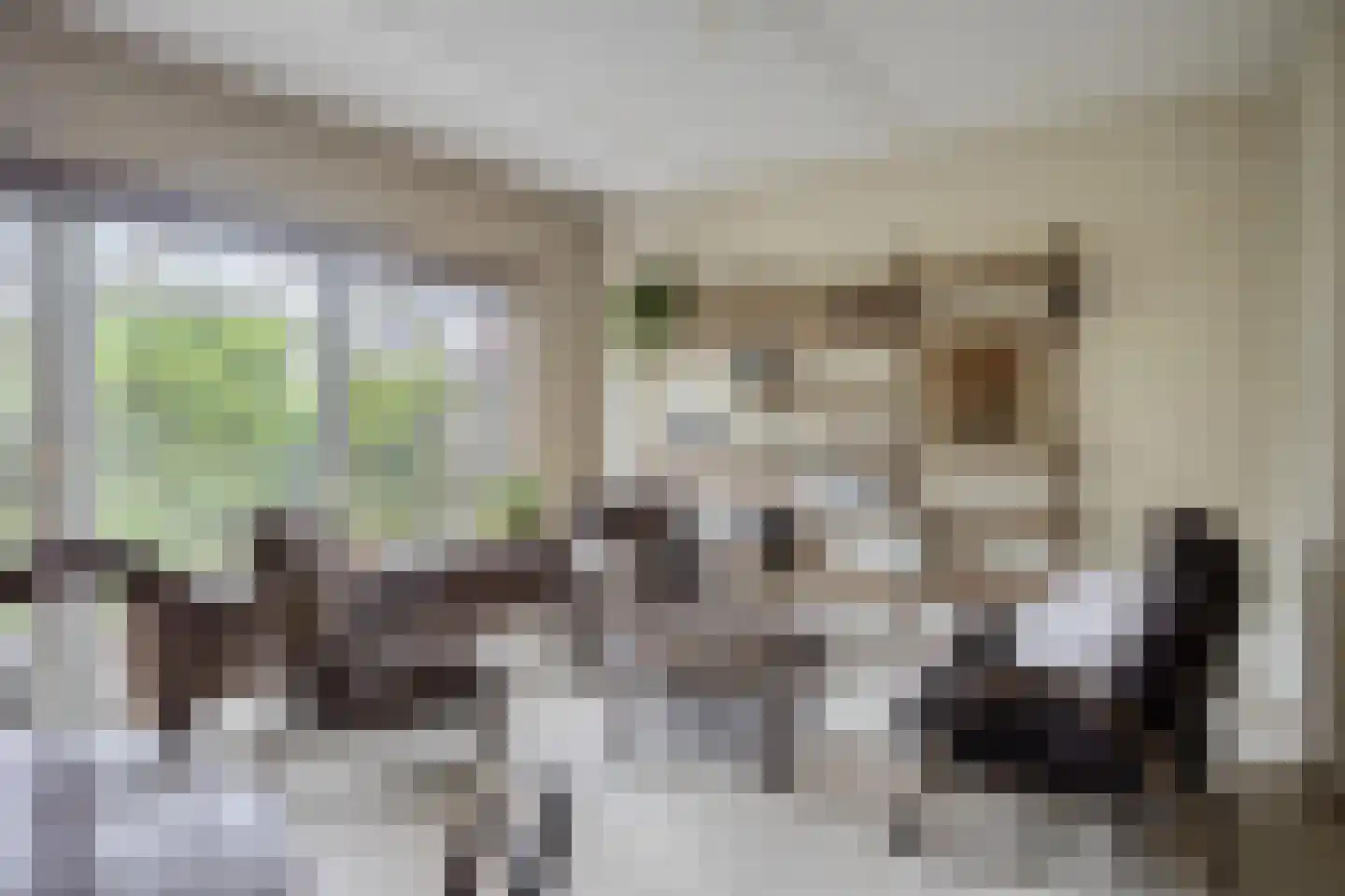 Zilverschoon 27 Kampen thumbnail 4