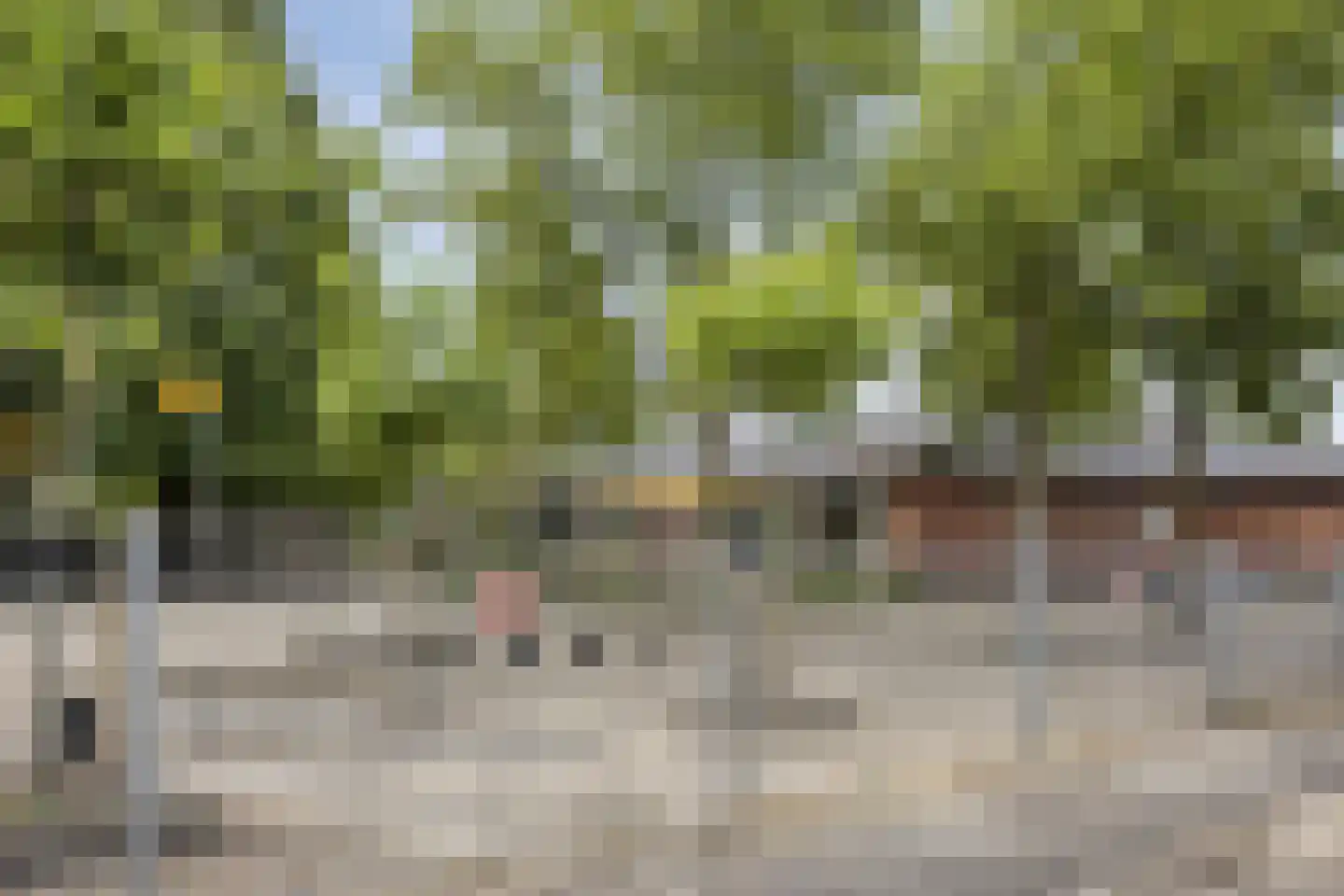 Zilverschoon 27 Kampen thumbnail 40