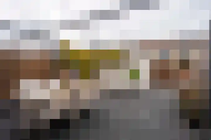 Zilverschoon 27 Katwijk thumbnail 31