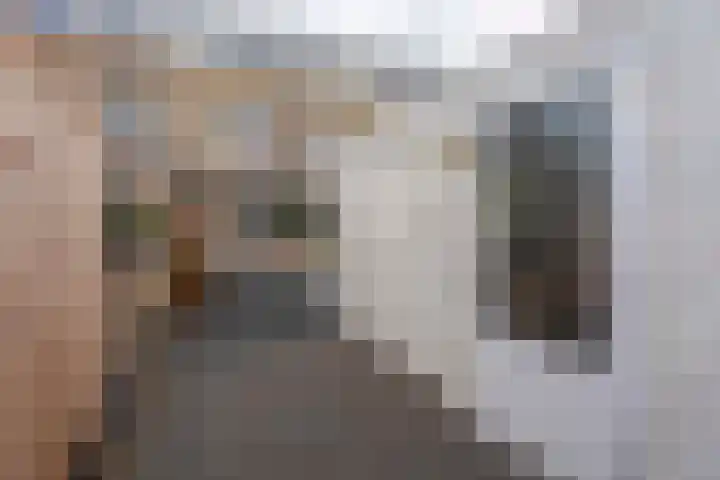Zilverschoon 27 Katwijk thumbnail 33