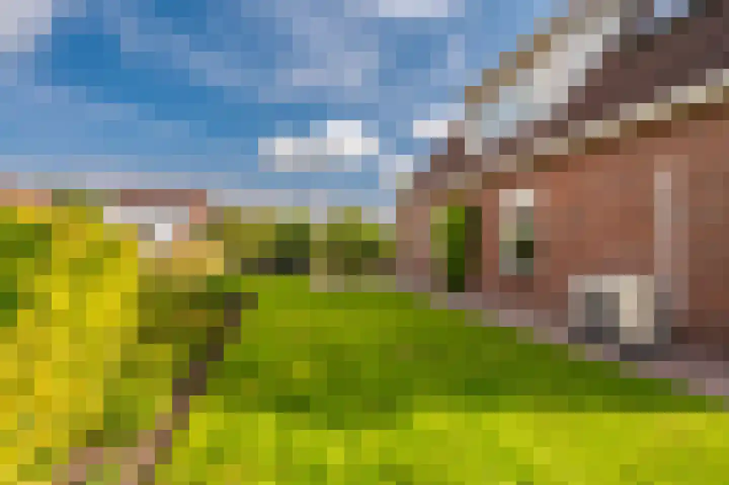 Zilverschoon 28 Delfzijl thumbnail 15