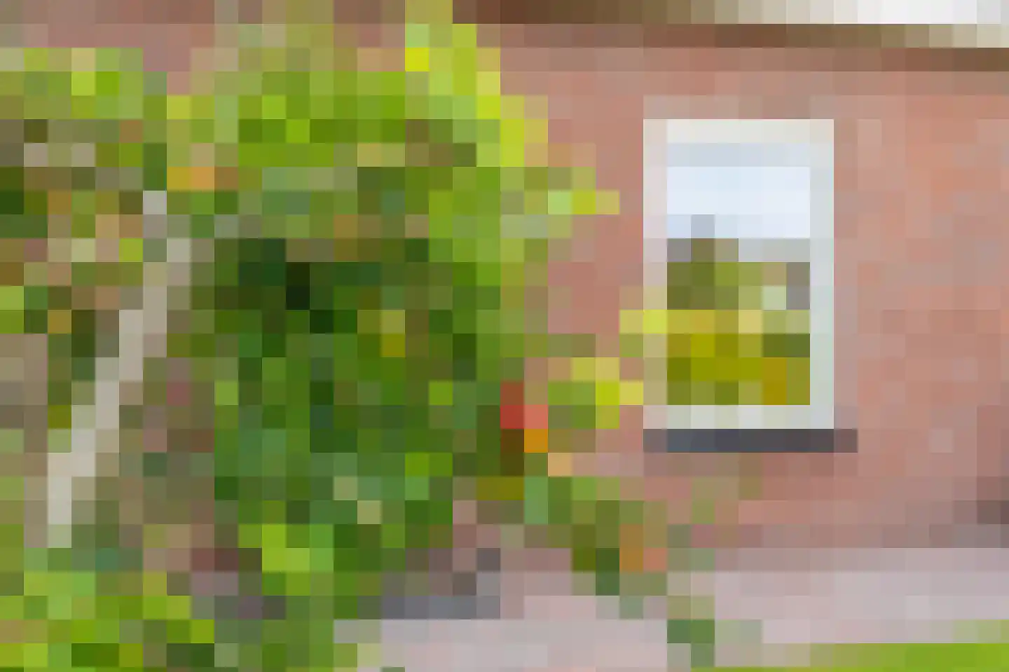 Zilverschoon 28 Delfzijl thumbnail 16