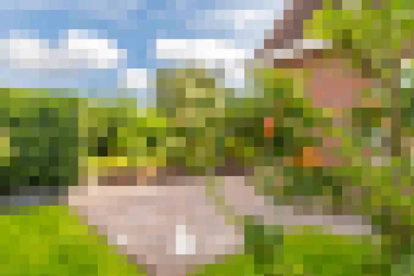Zilverschoon 28 Delfzijl thumbnail 17