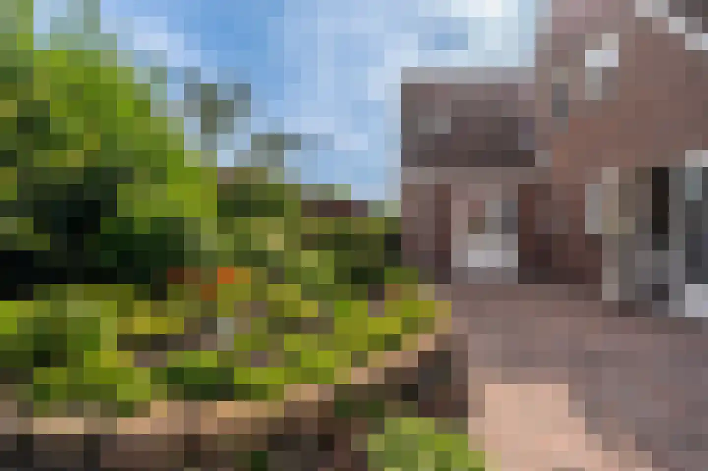 Zilverschoon 28 Delfzijl thumbnail 21