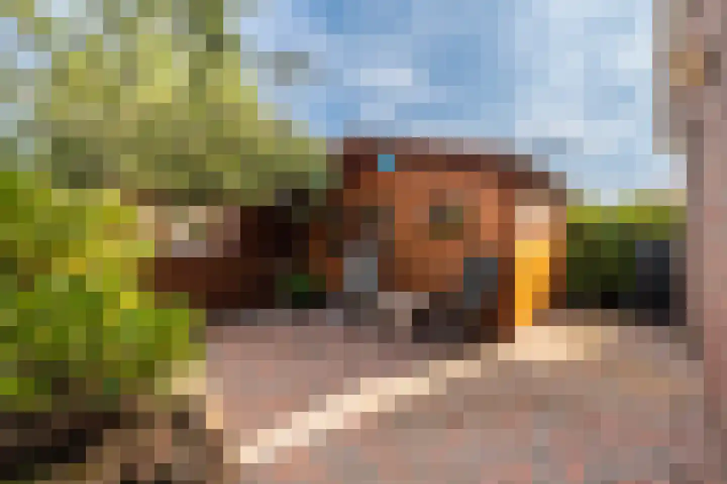 Zilverschoon 28 Delfzijl thumbnail 23