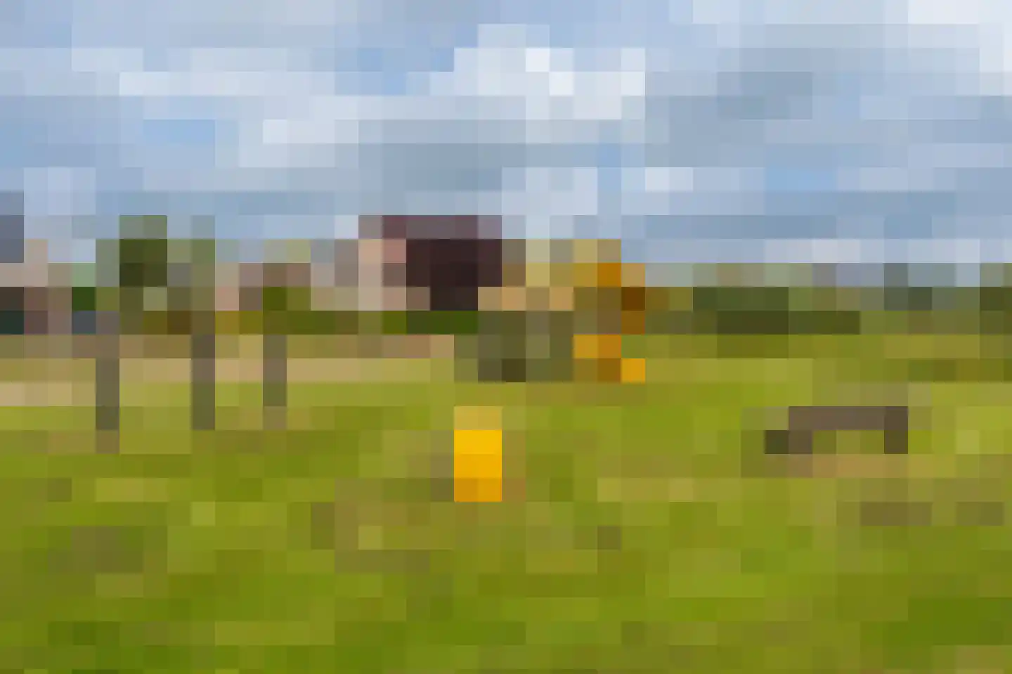 Zilverschoon 28 Delfzijl thumbnail 24