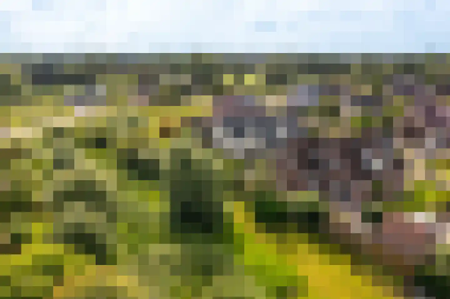 Zilverschoon 28 Delfzijl thumbnail 25