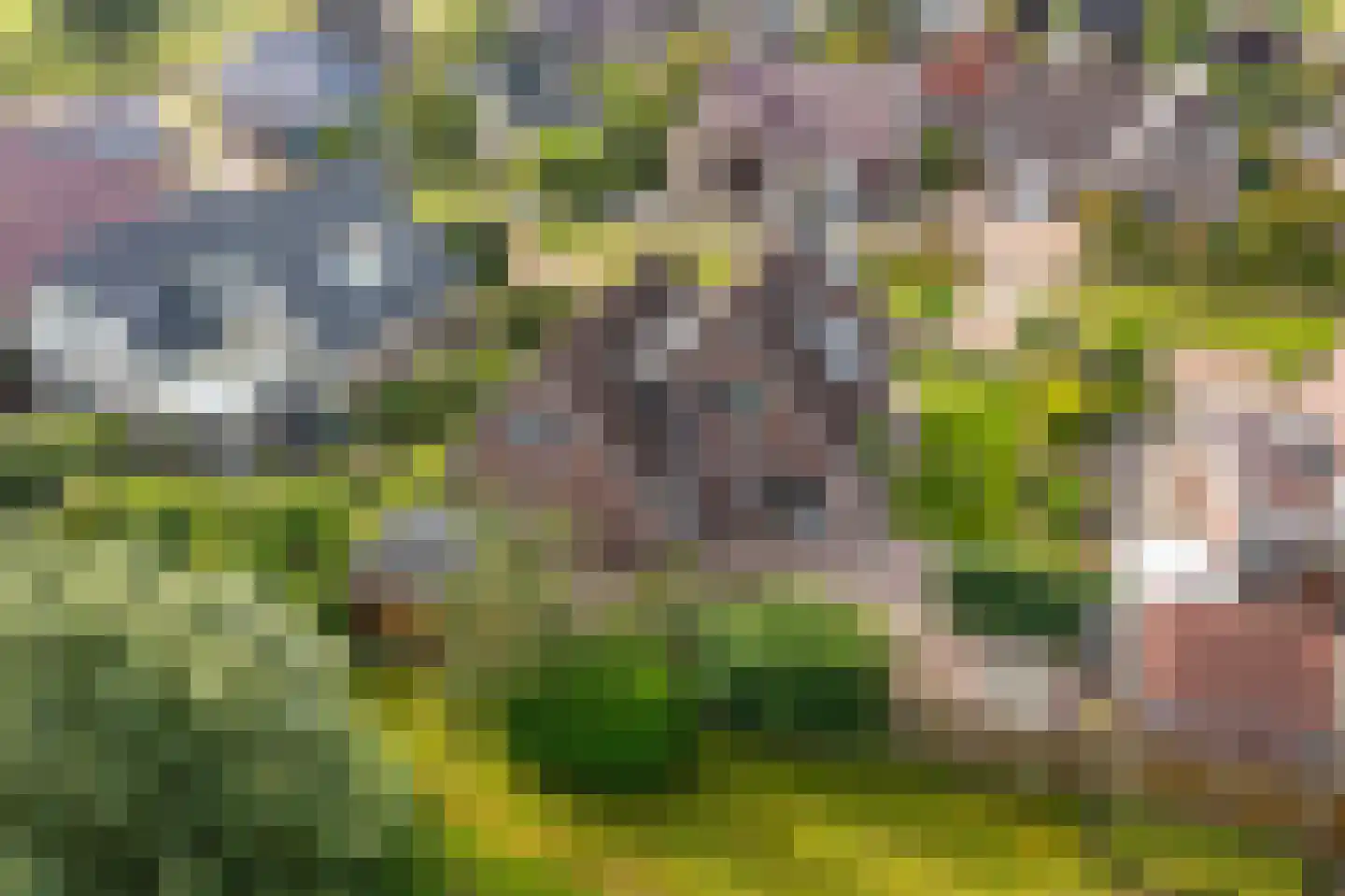Zilverschoon 28 Delfzijl thumbnail 26