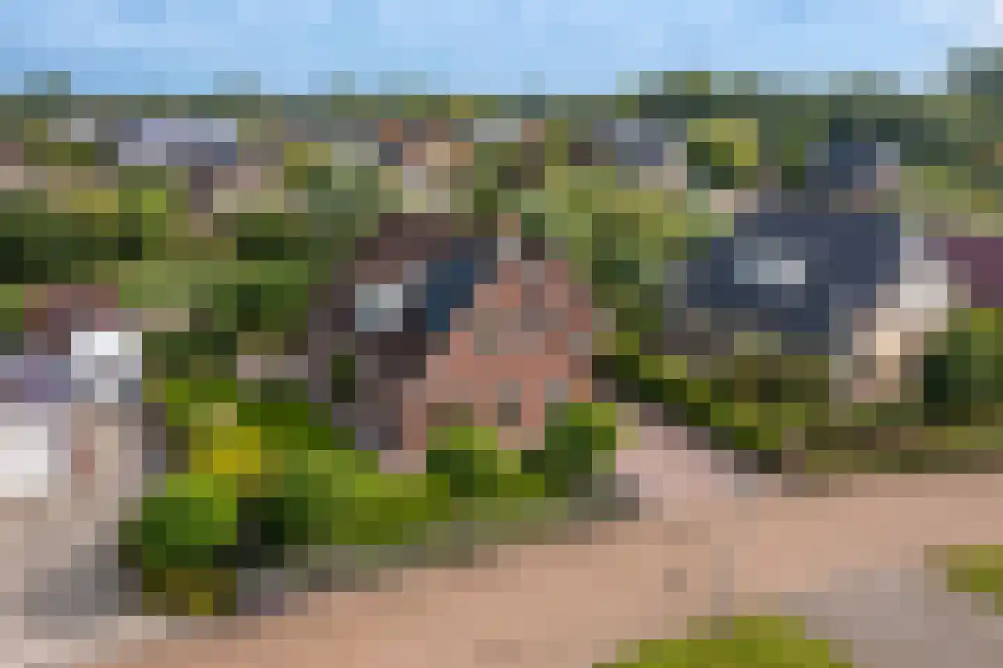 Zilverschoon 28 Delfzijl thumbnail 28