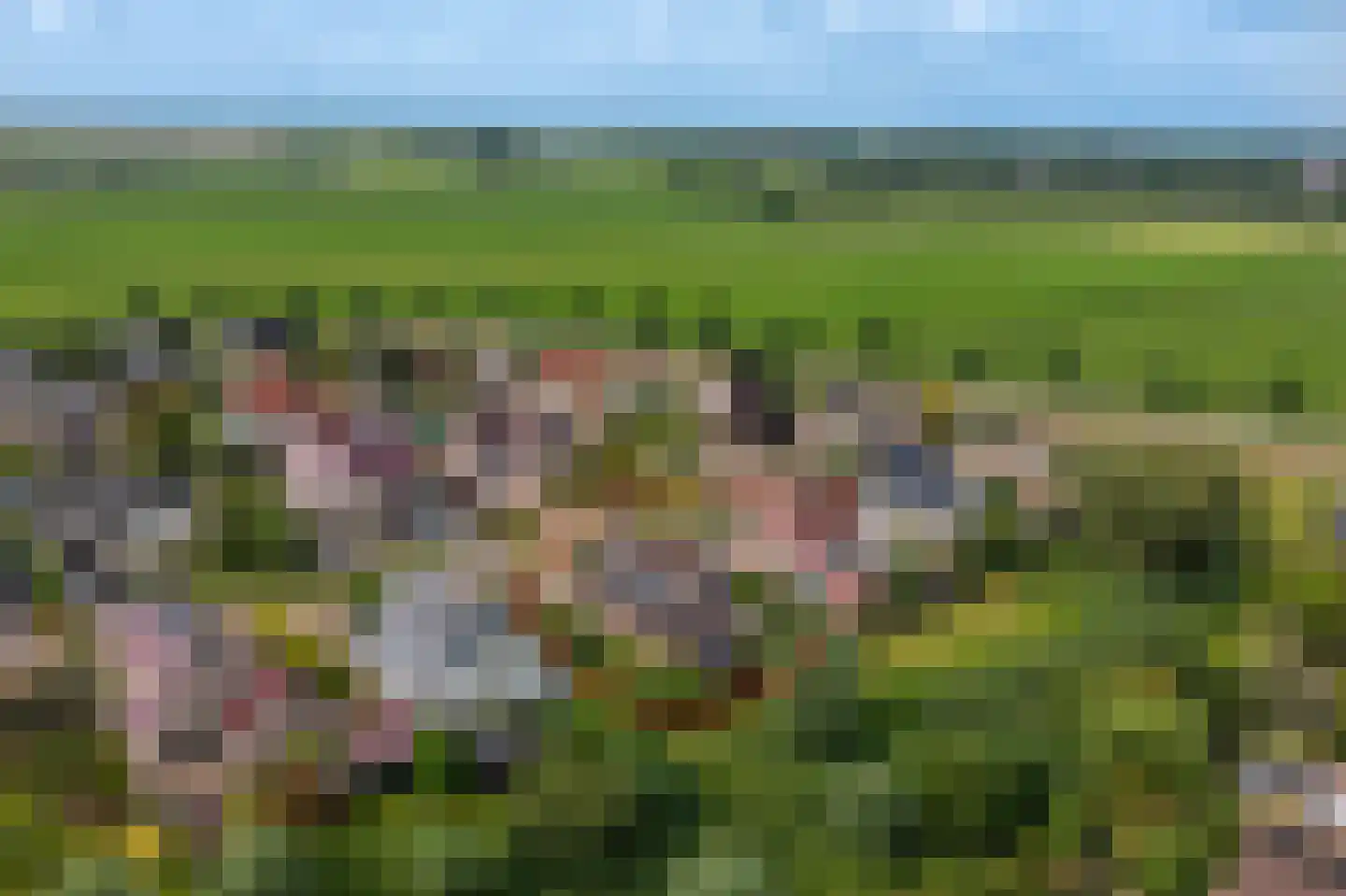Zilverschoon 28 Delfzijl thumbnail 30