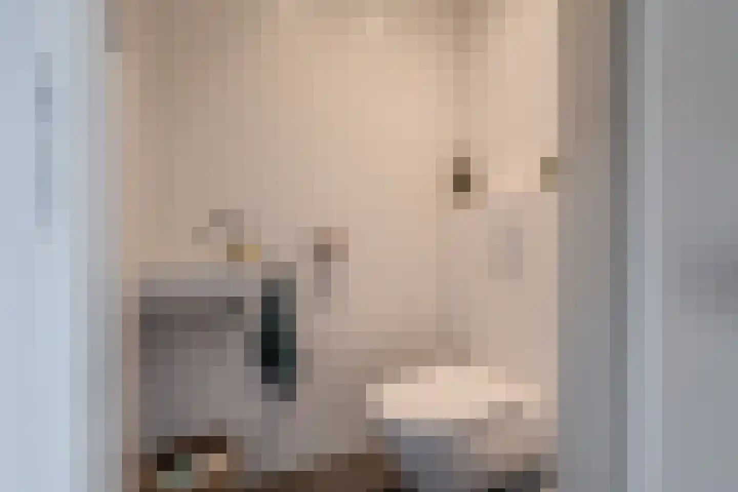 Zilverschoon 28 Delfzijl thumbnail 33