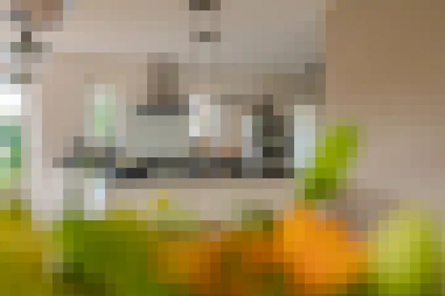 Zilverschoon 28 Delfzijl thumbnail 43