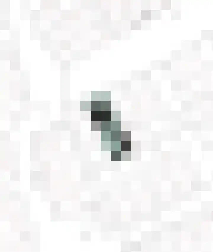 Zilverschoon 28 Eelde thumbnail 11