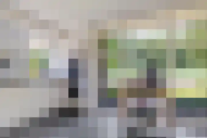 Zilverschoon 28 Eelde thumbnail 17
