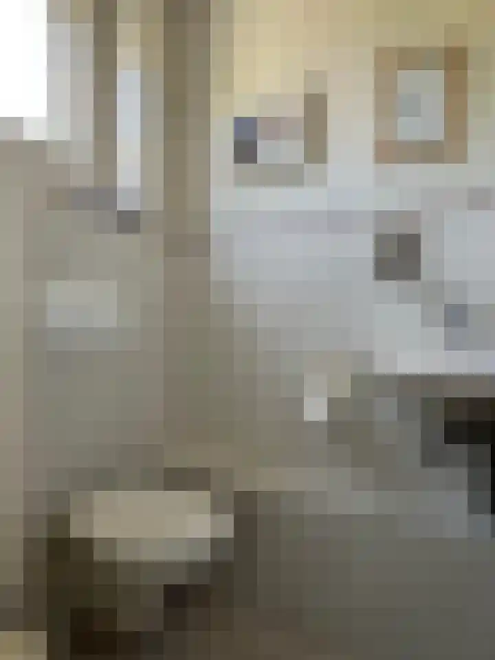 Zilverschoon 28 Eelde thumbnail 18