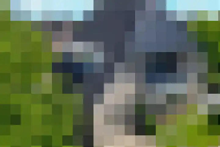 Zilverschoon 28 Eelde foto 2