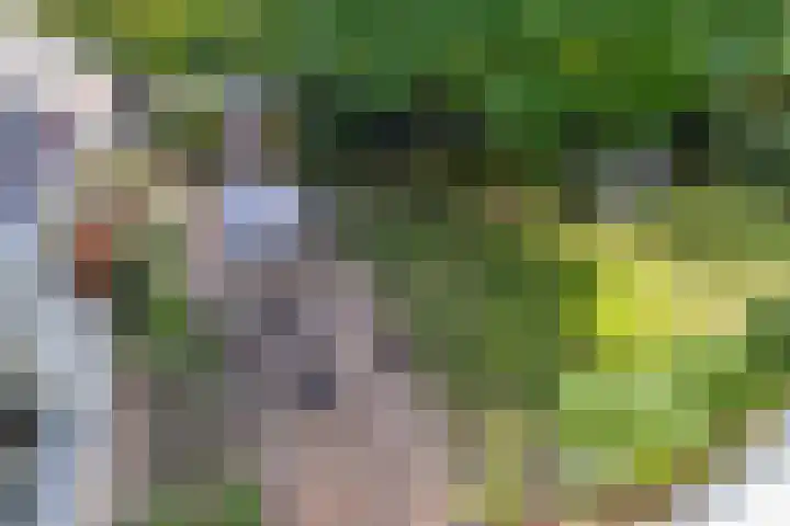 Zilverschoon 28 Eelde thumbnail 35